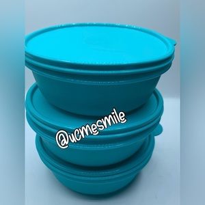 Tupperware Individual Salad Bowls Set of (3)